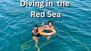 A Tank & Airplane at the Bottom of the Red Sea!? Diving in Aqaba, Jordan