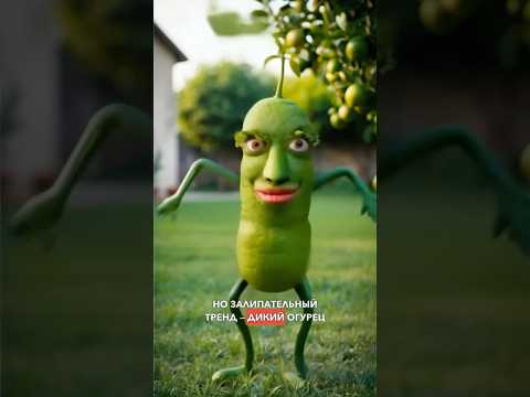 🥒 Разбираемся, как появился новый вирусный тренд: «дикий огурец». #тренды #дикийогурец