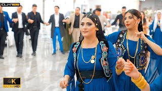 Raman Dari Pervin Mehmet Ultra 4K Part07 Kurdische Hochzeit By 