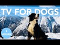 Relaxing Dog TV 🐶 Nature &amp; Drone + ASMR Music!