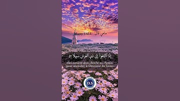 #القران_الكريم #coran #religion #islam ما تيسر من سورة الإسراء بصوت مامي فال(حفظها الله )