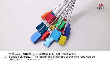 Hexgonal Cable Wire Seal