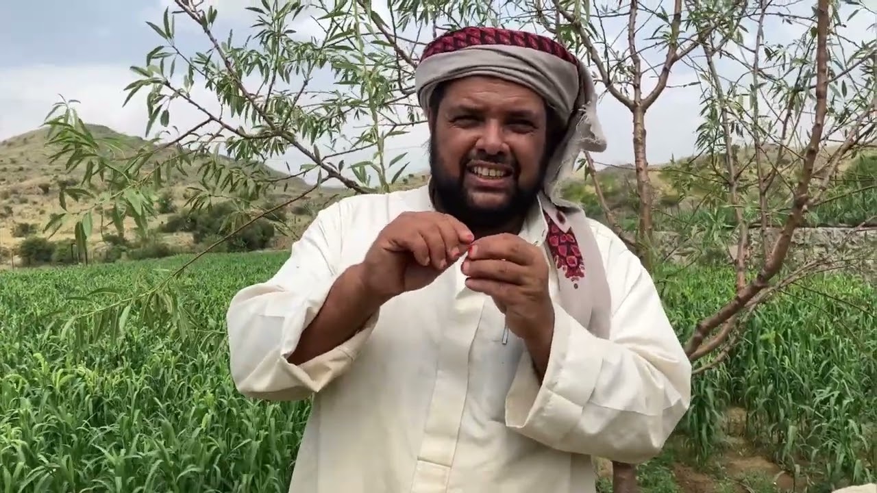 حَش و صرَام