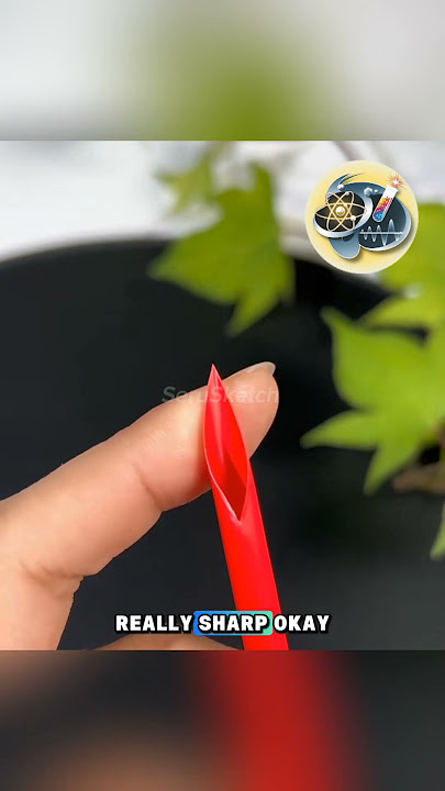 Mind-Blowing Straw Hack You’ll Wish You Knew Sooner! #shorts #experiment #trending 