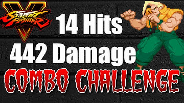 Nash Combo | Street Fighter V Combo Challenge