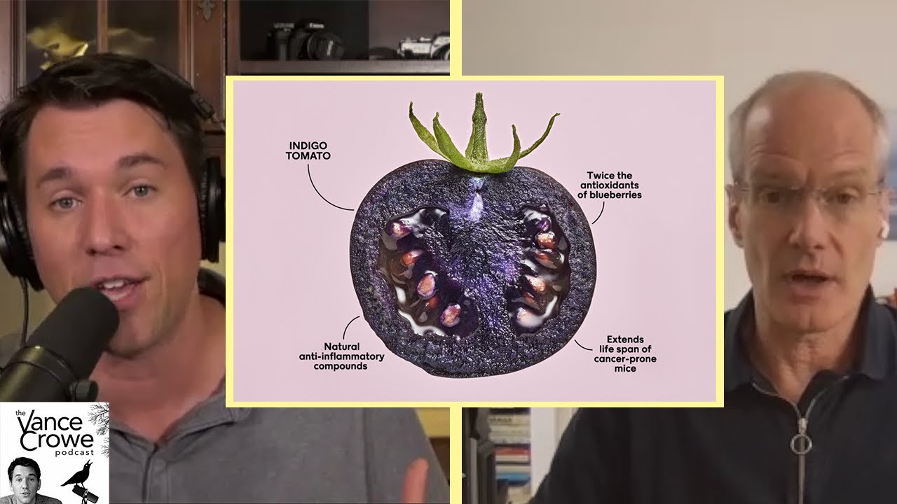 A GMO tomato that's healthier than all others | How regulation prevents innovation in AgTech