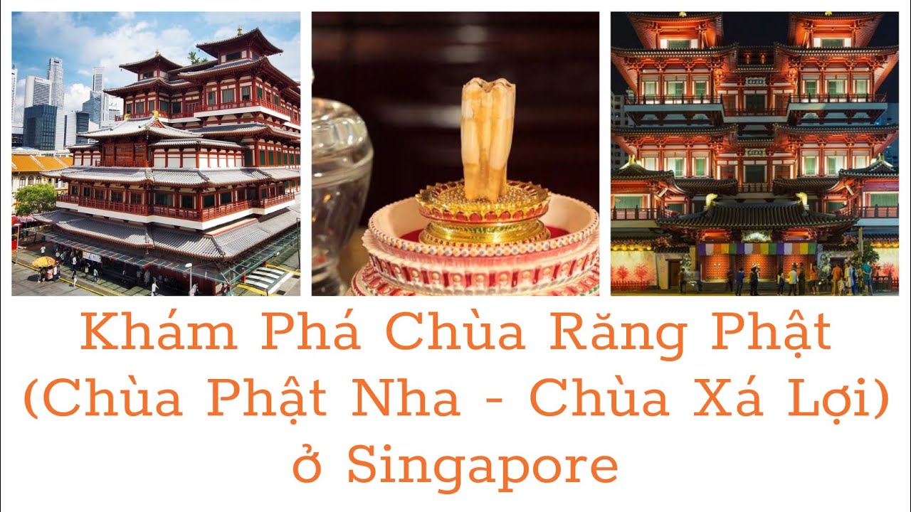 Khám phá Chùa Răng Phật tại Singapore🇸🇬🙏#khampha#travel#dulich# ...