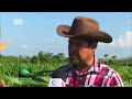 Manos jóvenes y experimentadas impulsan la ley de Soberanía Alimentaria en Santiago de Cuba