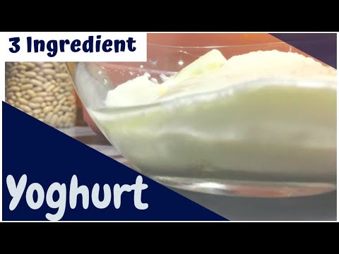 Video: Ano Ang Yoghurt Starter