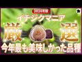 【2024年版】最も、美味しかったイチジク（育て方）