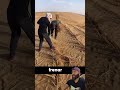 Control del avance dunar mediante cuadrículas de paja #lifehacks #ideas #usa
