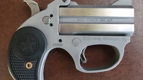 Cover Image for The Stinger RS by Bond Arms