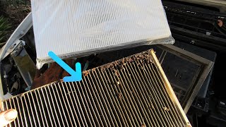 Mercedes Vito Van 2009 W639 Air Cabin/Pollen Filter Location and Replacement How To #mercedesvito
In this video we show you were the air cabin/pollen filter is located on a Mercedes-Benz Vito W639 Van and how easy it is to replace it, after many miles and time the filter becomes quite dirty and can affect the air system within the cab ours was full of leaves and debris.
#mercedesvito #mercedesw639 Mercedes Vito Van 2009 W639 Air Cabin/Pollen Filter Location and Replacement How To #mercedesvito