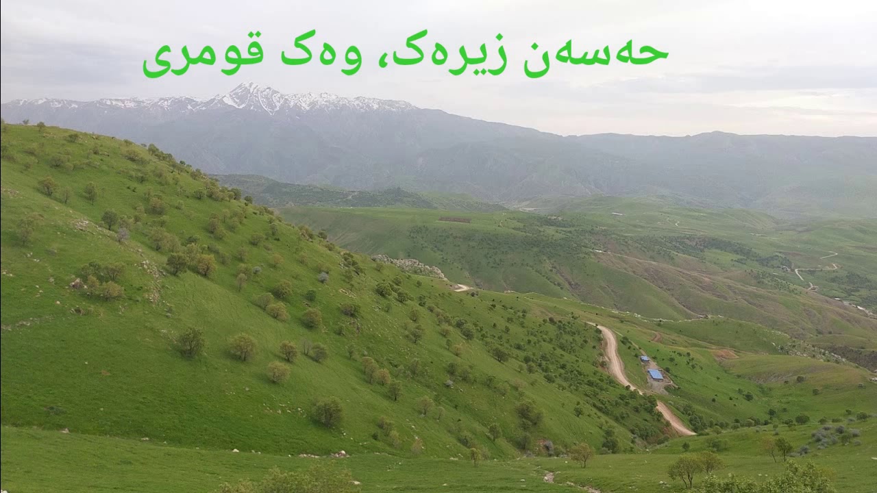 Hassan Zirak, Wek qumri حەسەن زیرەک، وەک قومری