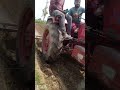 farming #farming #tractor #viral #agiculture