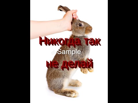 ❄️🐰 🐇 Никогда так не делай🐰 🐇❄️!! ✅Как правильно брать кролика!! Содержание кроликов!