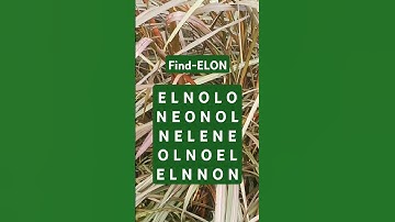 Observation Visual Test: 5 Seconds ForYou To Spot ELON. Try Your Skills! #search #puzzle #shorts
