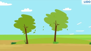 Propagation of Sound | Propagation of Sound Waves | Class 9 Science ICSE