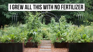 3 Reasons to Stop Gardening with Fertilizer (and What to Do Instead)