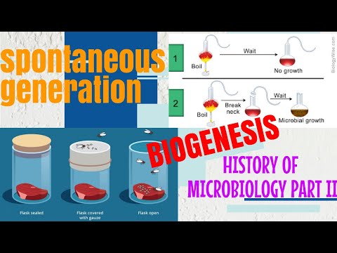 SPONTANEOUS GENERATION  IN DETAIL  WITH NOTES |BIOGENESIS|EXPLAIN IN ( HINDI)
