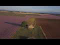 Droning in Valensole 2020