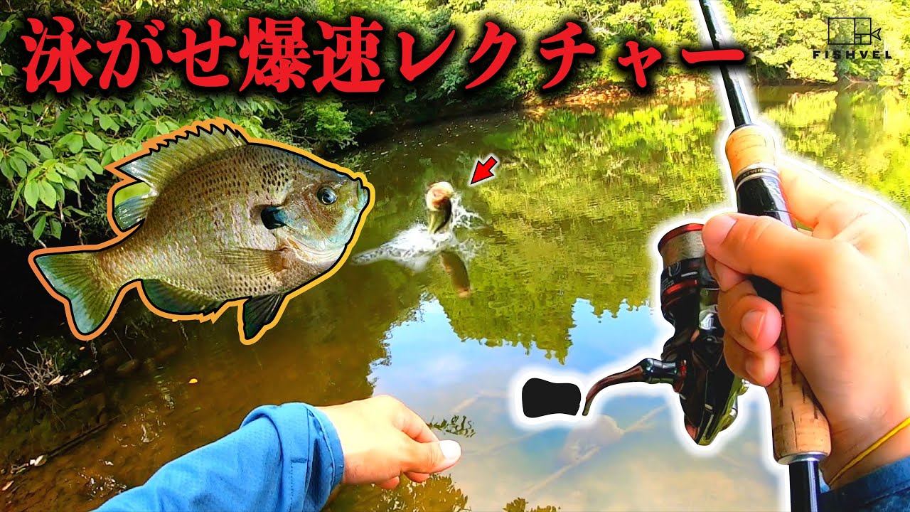 ギルでバスを釣る最速レクチャー
