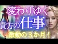3か月間の仕事運／激動 を徹底的にお届け☆貴方の変わりゆく仕事運【個人鑑定級・未来予知リーディング】✨✨当たるタロットオラクル 🌎️仕事 お金 愛 対人関係ふなチャンネル 風菜チャンネル