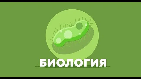5 класс биология урок 13 Характеристика царства Растения. Особенности водорослей и лишайников