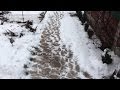 ЧАСТЬ 5: Садовая дорожка своими руками после 2-х зим | PART 5: Garden path condition after 2 winters