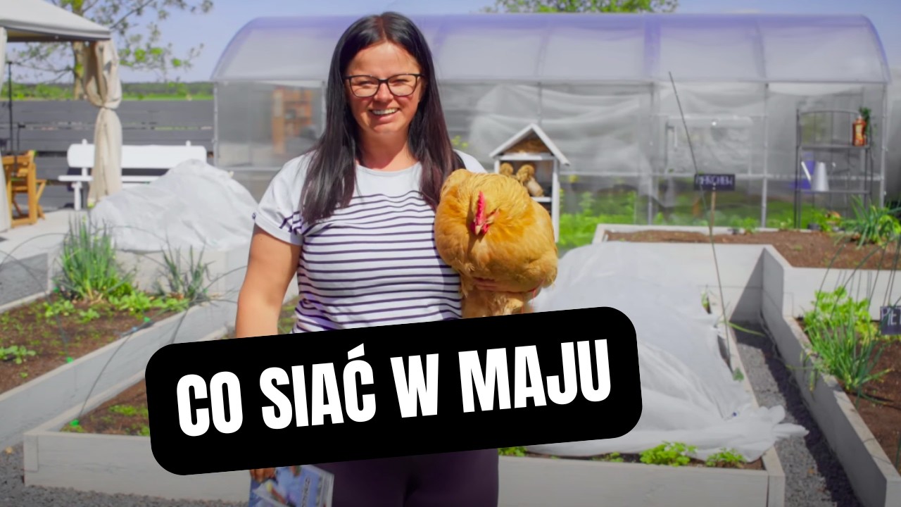 CO WYSIEWAĆ W MAJU | Kasia in