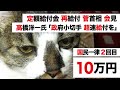 【定額給付金 再給付・菅義偉首相 会見】高橋洋一 内閣官房参与「政府小切手で給付金を」VS 麻生太郎【追加経済対策・2回目 緊急事態宣言を】3次補正、8日に閣議決定