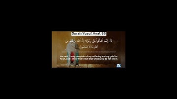 سورة يوسف آيت نمبر 86تا87 تلاوت قرآن كريم سعد أيوب #مشاري_العفاسي #تلاوة_خاشعة #تلاوت