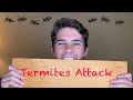 Termite Damage!! - Why You Get Your Home Inspected for Termites