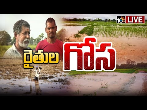 LIVE : తుపాన్ ఎఫెక్ట్..నీట మునిగిన వేల ఎకరాలు | Farmer Loss Over Cyclone Effect | 10TV News - 10TVNEWSTELUGU