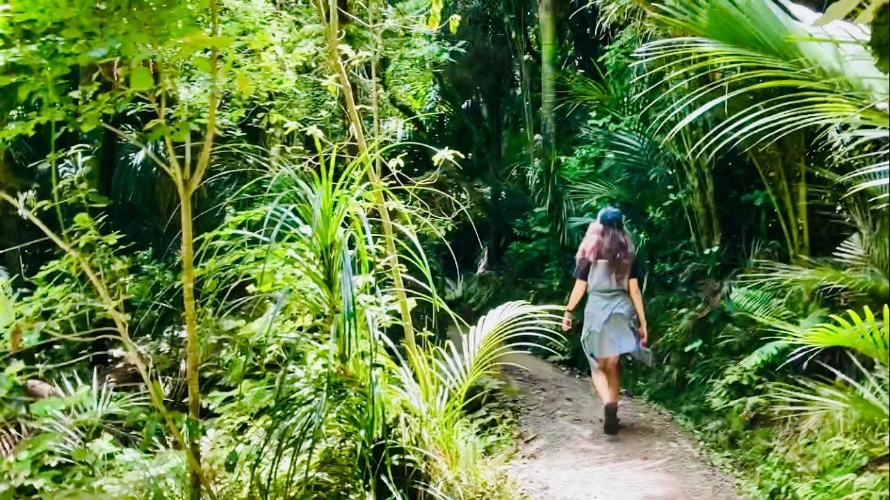 Трек Зиг Заг с выходом на пляж / Zig Zag track to the beach, Titirangi