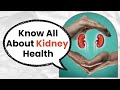 Know all about kidney health essential tips and insights i onlymyhealth