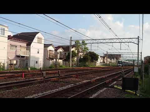 E261系RS1編成サフィール踊り子2号
