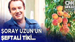 Larisa Guzeeva - mushuk.