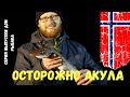 Рыбалка в Норвегии!ОСТОРОЖНО АКУЛА!Как мы поймали акул в Норвегии!удачная рыбалка! Дом рыбака