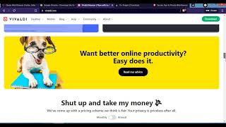 5 best web browsers to start using for better result screenshot 5