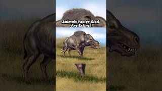 Animals Youre Glad Are Extinct shorts