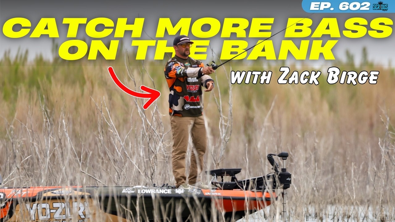 PRO Tips to Catch MORE Bass on the Bank!