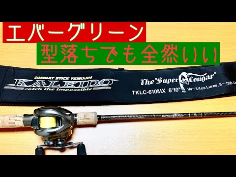 タックル紹介⭐️エバーグリーン】カレイド スーパークーガー 古いけど