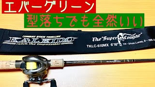 タックル紹介⭐️エバーグリーン】カレイド スーパークーガー 古いけど