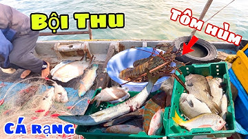 Tập 28 - Nghề lưới ba lớp dính đa hệ của ngư dân