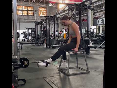 Cable Seated Hamstring Curl