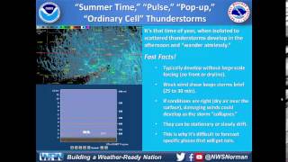 Summertime Pulse Thunderstorms