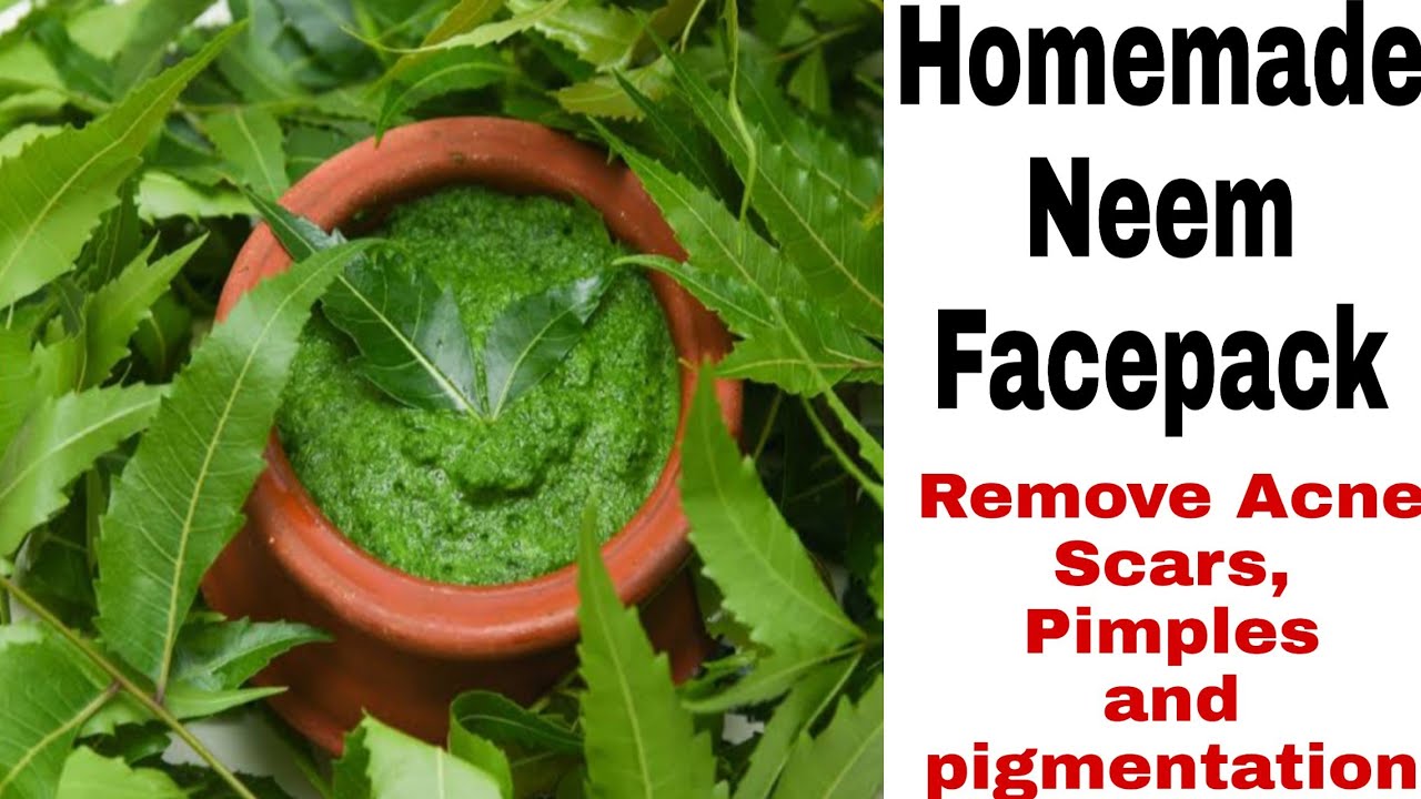 How to make neem powder at home | Neem Face Pack