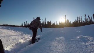Rabbit Snaring Birch Tip Gates Profile