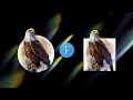 How to clip mask an image in Pixellab